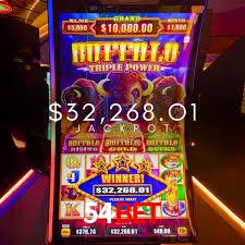 Experiência VIP 54bet